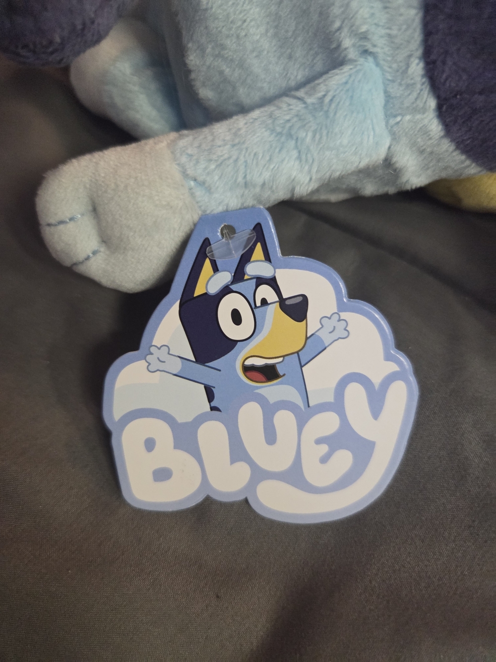 Bluey Bundle - Picture 4 of 4